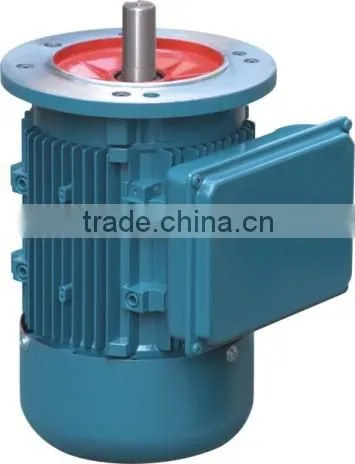 YC,YL,YY,JY Single Phase Two Speed Electric Motor photo-3