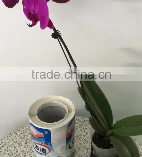 Low Price and High Quality Daily Products Labels Printing Adhesive Daily Stickers photo-2
