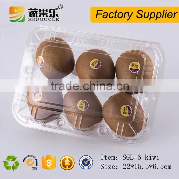 Hot Sale 6 Kiwi Fruit Use Packaging Box photo-2