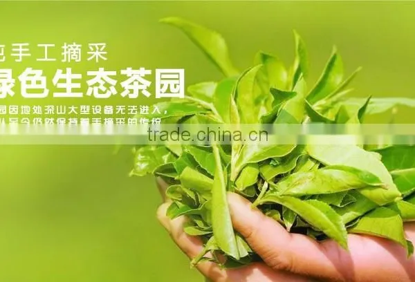 36pcs Different Kinds Flavors Chinese Yunnan Puer Tea pu er Tea Bag Gift Puerh Tea Food Weight Loss Tea photo-6