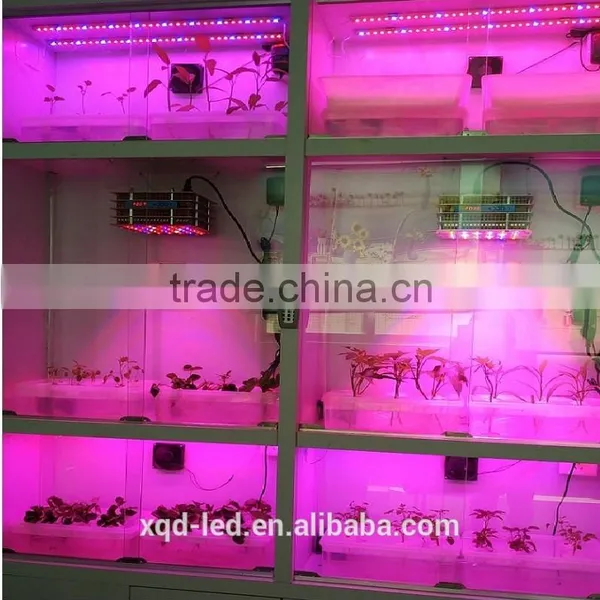 Newest DC 36V IP68 Full Spectrum Leds Grow Light x3 photo-3