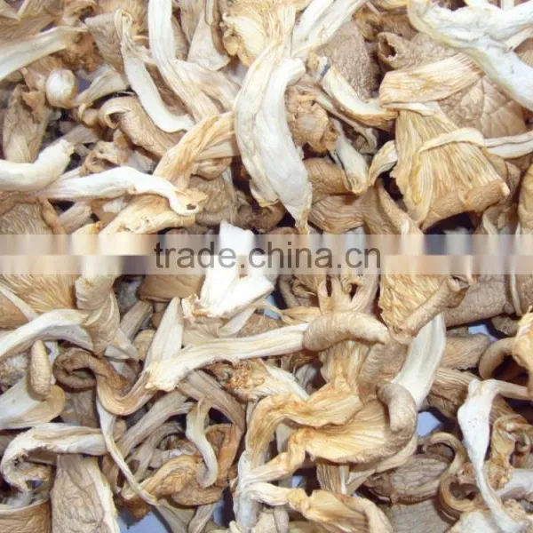 Dry Oyster Mushroom