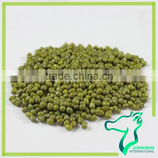 Green Mung Bean/Green Gram/Mung Beans Sprouting photo-2