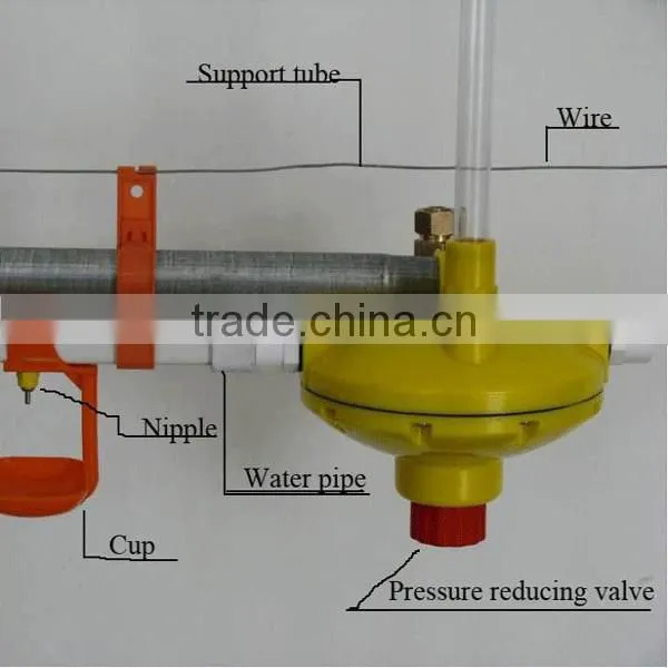 Poultry Controlled Equipment Chicken Water Cup Drinker for Sale photo-2