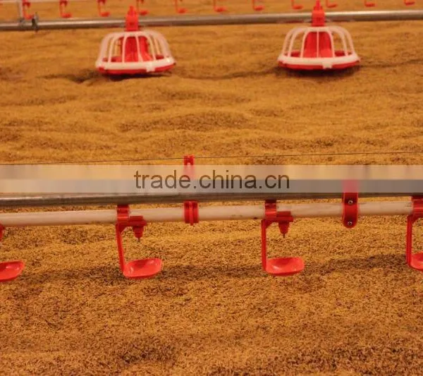 ^Agriculture Equipment for Poultry Drinking/chicken Egg Poultry Farm Equipment/poultry Nipple Drinking System photo-6