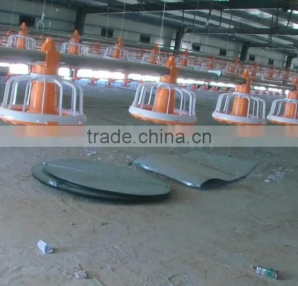 Eonomical Commercial Steel Frame Broiler Chicken House photo-3