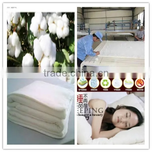 Chinese Latest Textile/cotton/wool Carding Machine on Sale photo-6