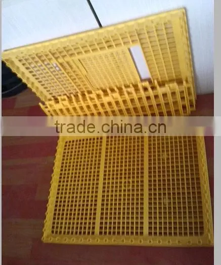 Solid Plastic Pigeon Transport Cage photo-3