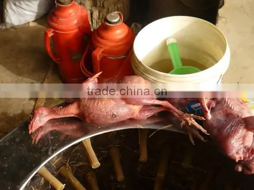 HHD 2016 Newest Design CE Approved Fully Automatic Best Price Commercial Chicken Plucker Machine for Sale photo-5