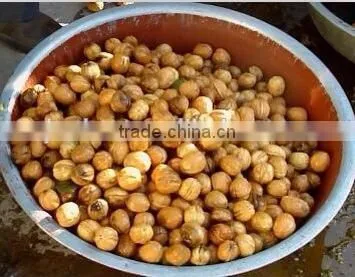 Junlan Machinery Fruit Vegetable Walnut Cleaning Machine +8618637188608 photo-2