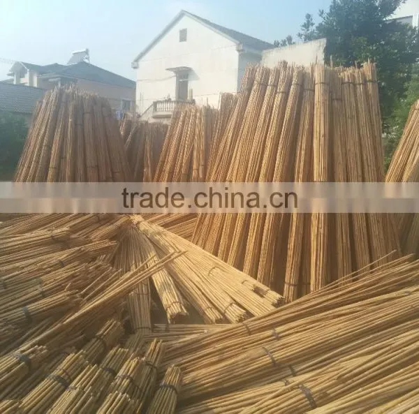 WY-211 Natural Dryness for 12% Straight Garden Tonkin Bamboo Poles Bamboo Canes Bamboo Stakes for Sale photo-5