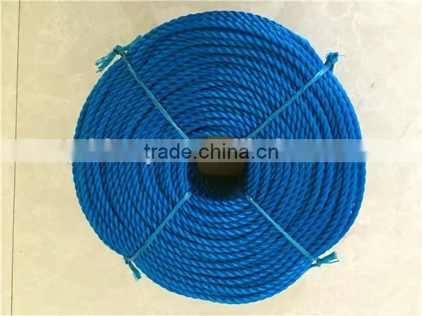 Colored PP Diamond Braided Rope With Competitive Price Made In Linyi photo-2