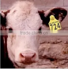 Animal Tracking RFID Visual Ear Tag (Factory Price) photo-5