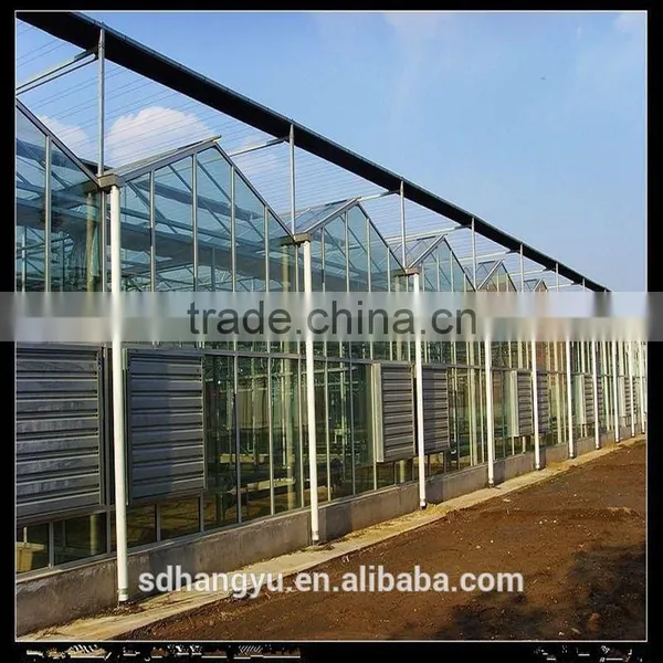 Agricultrue Greenhouse Plastic Sheet Fan Vegetable Greenhouse photo-2
