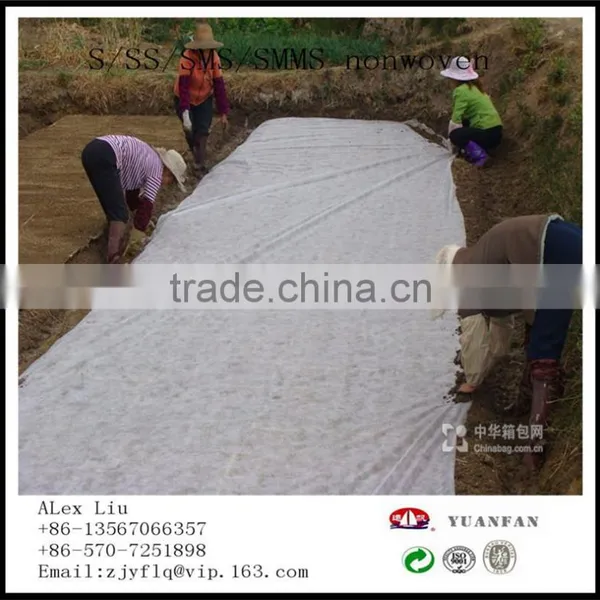 Plant Cover Non Woven Fabric Made in China photo-4