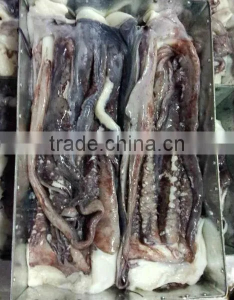 1kg up Giant Squid Tentacle photo-2