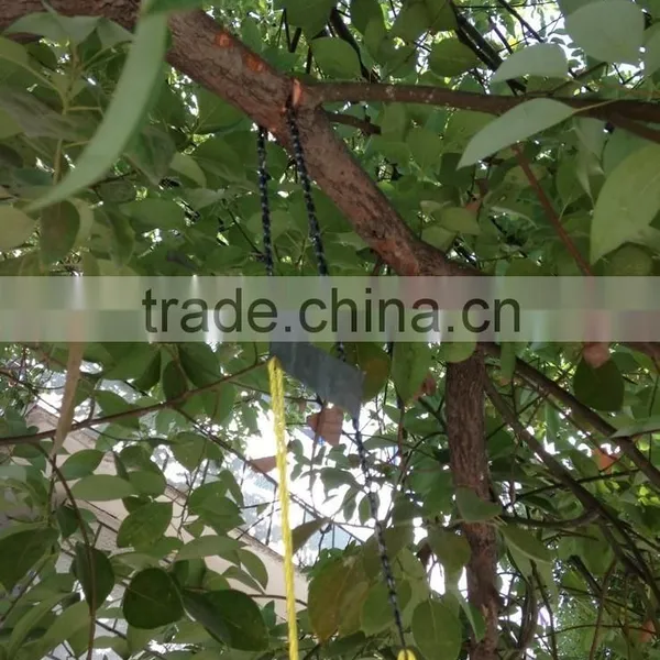 Double Blades Saw for High Limb Tree photo-3