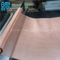 Phosphor Bronze Wire Mesh photo-2