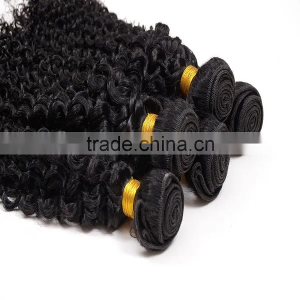 Free Sample Hair Bundles,2016 Hottest Virgin Mongolian Kinky Curly Hair photo-5