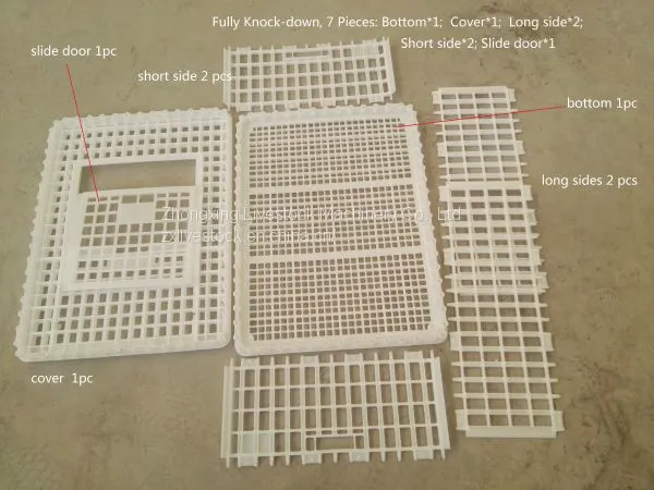Plastic Crates for Poultry Transportation and Egg Transportation photo-2