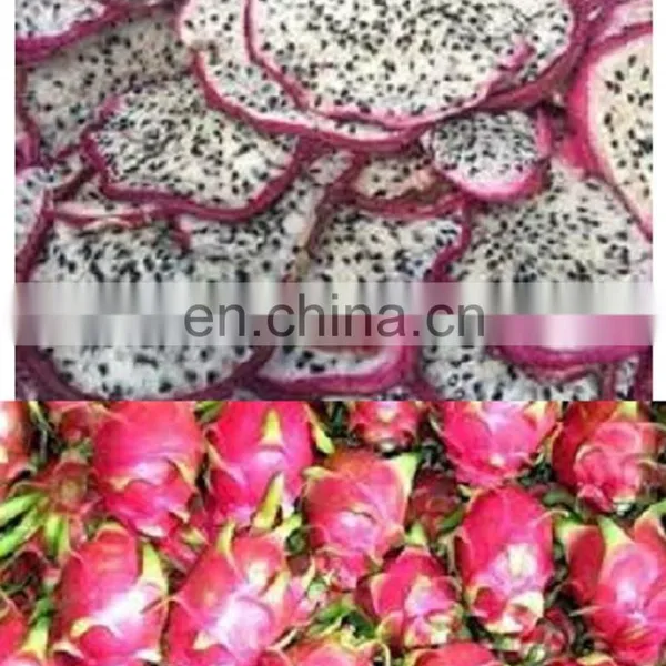 Natural Dried Dragon Fruit For International Market photo-2