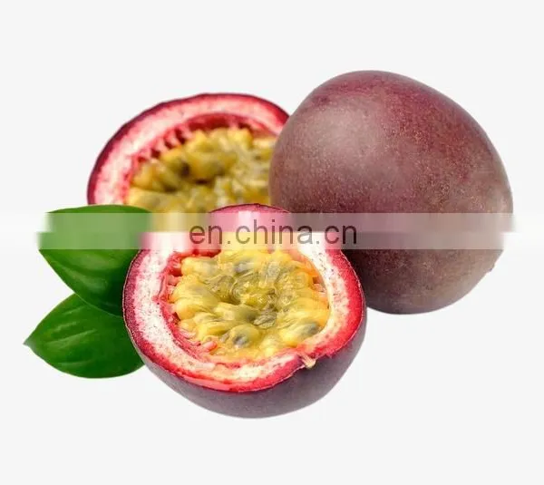 FRESH PASSION FRUITS WITH BEST PRICE AND HIGH QUALITY FROM VIETNAM photo-3