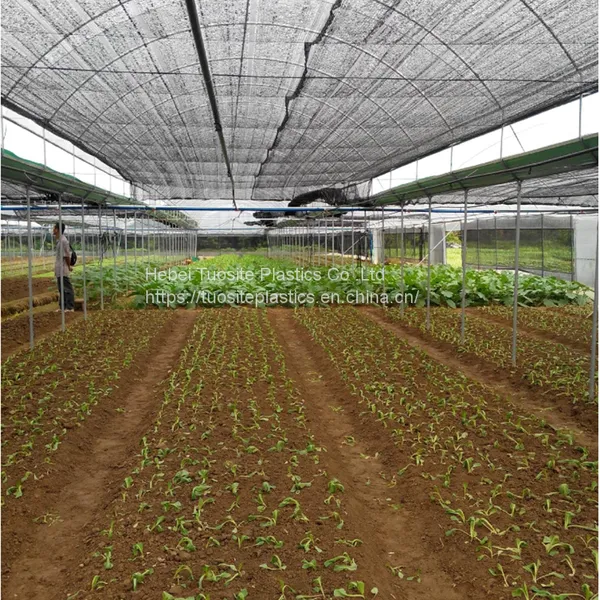 Light 60gsm Greenhouse Shade Net Agriculture Farm Orchard Outdoor Shade Net Cover photo-5
