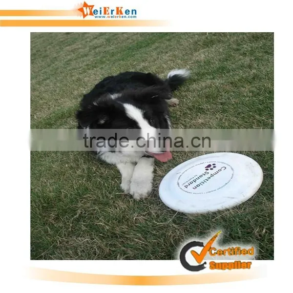 Dog Frisbee photo-2