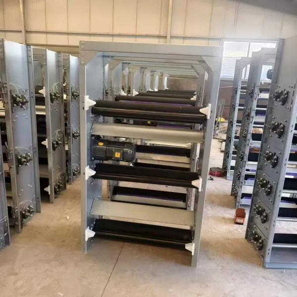 Chicken Shed Automatic Manure Discharge Conveyor Belt Equipment photo-3