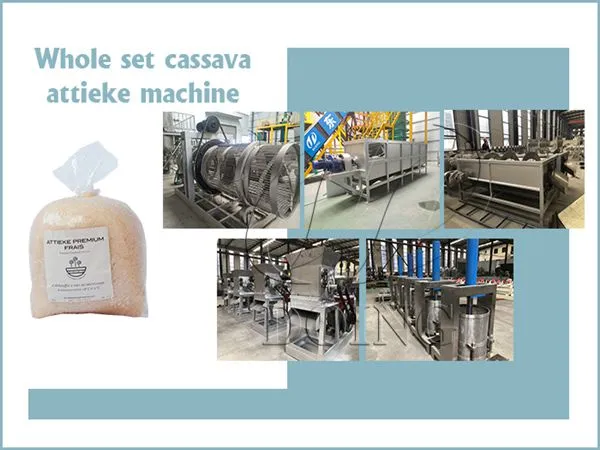 Ivory Coast Attieke Processing Machinery Cassava to Attieke Processing Plant Attieke Making Plant