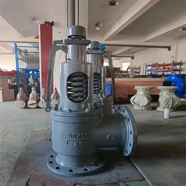 Safety Valve photo-3