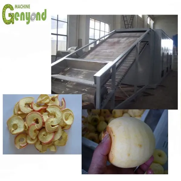 Core Components PLC Gear Pump Motor-Fruit and Vegetable Chips Making Machine photo-6