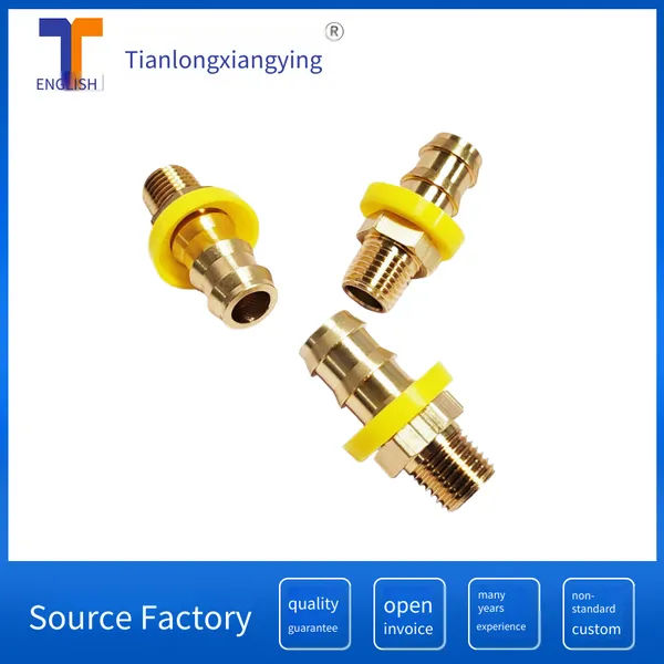 Tlong Tianlong Xiangying Brand German-style Inverted Insertion Pipe Head Tlz87pl/13/g1/4 Copper Water Nozzle Quick Connector
