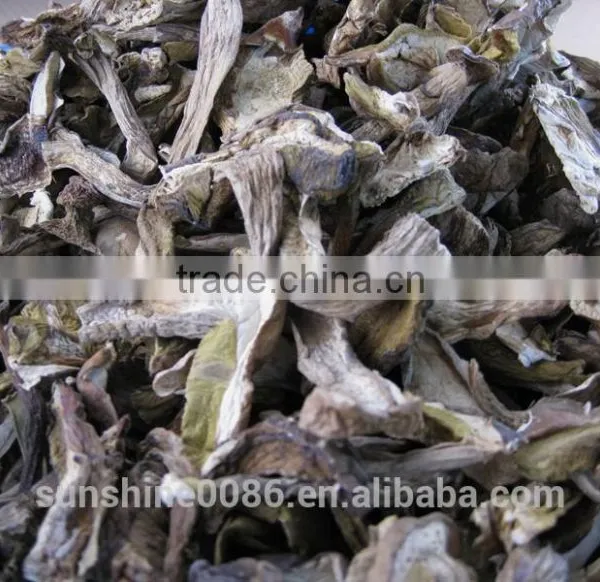 Market Prices For Boletus photo-2