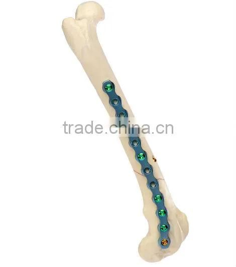 Animal PRCL-m Veterinary Pure Titanium Bone Plate Titanium Alloy Screw Intruments for Surgery