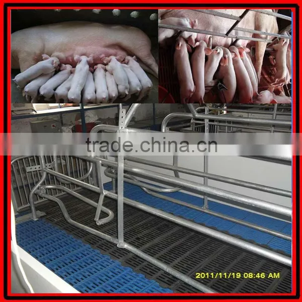 Adjustable Farrowing Crate for Pig Raising photo-2