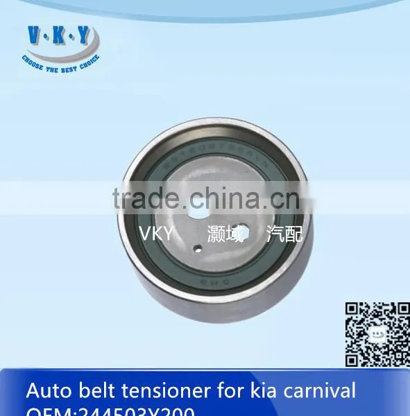 244503Y200 Autobelt Tensioner for Carnivel