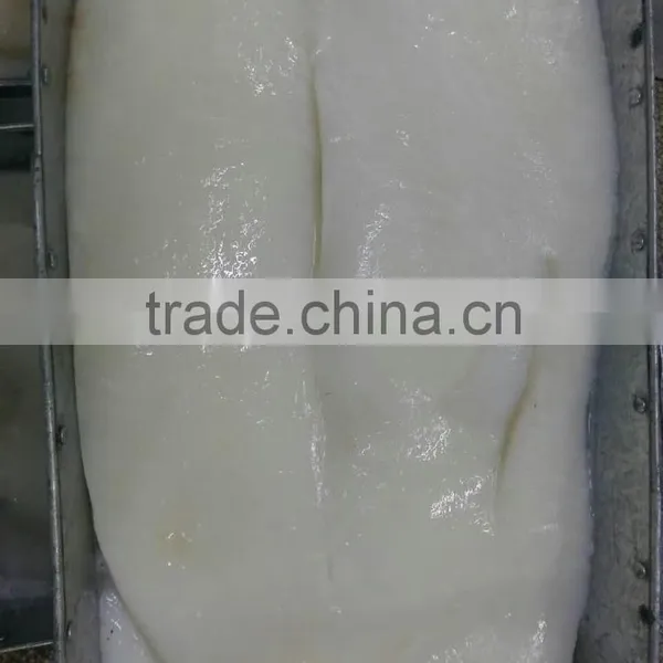 Giant Squid Fillet photo-3