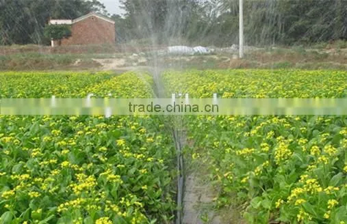 Micro Spray Irrigation Tape Making Machine photo-3