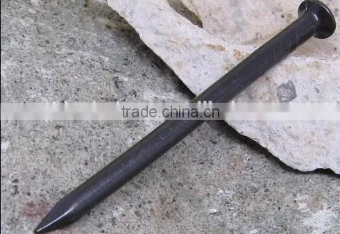 Hot Selling on Masonry Nails ,Concrete Nails photo-3