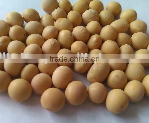 Organic Soybean/soybean/soya Bean/yellow Soya Bean(New Crop, Heilongjiang Origin. High Protein)