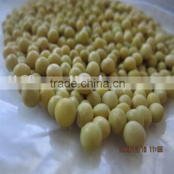 ALL TYPES Soya Bean China Non-Gmo/organic 2010