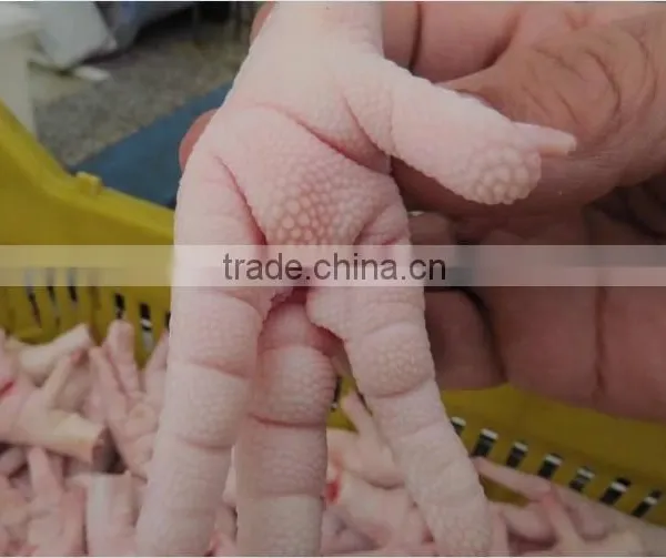 Halal Chicken Frozen Chicken Feet