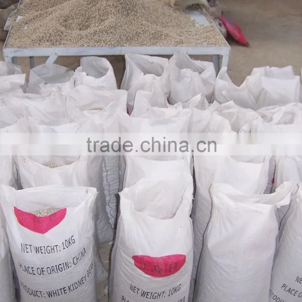 Small Black Bean Chinese Origin photo-6