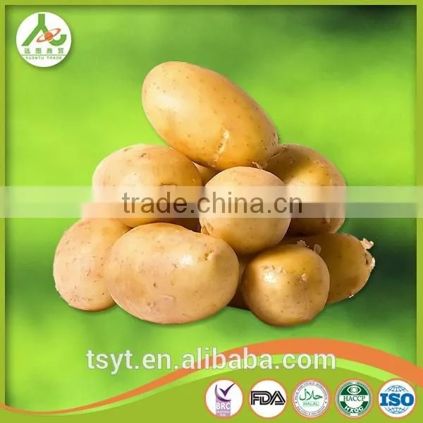 Best Quality Fresh Irish Potatoes Potato photo-2