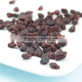 INDUSTRIAL RAISIN OF NEW CROP FOR SELL photo-5
