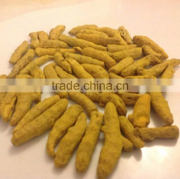 TURMERIC FINGERS photo-2