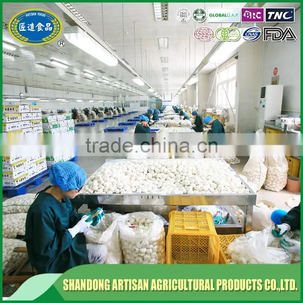 Fresh Normal White Garlic Pure White Garlic China Supplier photo-6