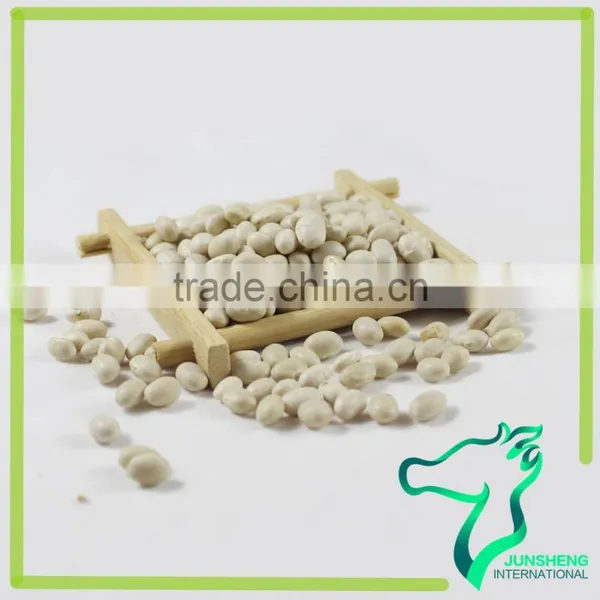 Navy Bean Small White Kidney Beans Haricot Beans photo-5