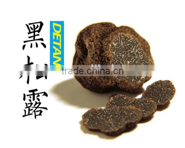 High Quality Wild Black Truffle 100% Wild Truffle for Sale photo-2
